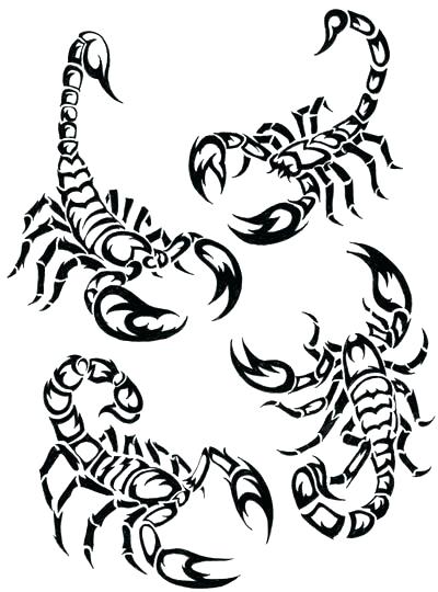 400x540 Scorpion Coloring Pages Colouring Recherche Google Desert Mortal