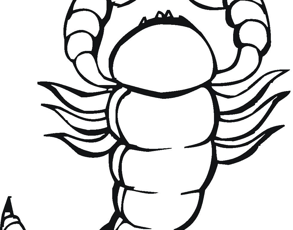 979x768 Singular Scorpion Coloring Pages Mortal Kombat X And Sub Zero