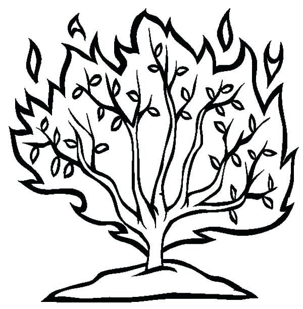 600x612 Moses And The Burning Bush Coloring