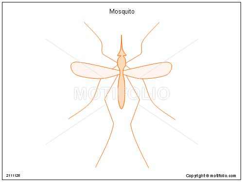 500x375 Mosquito Illustrations