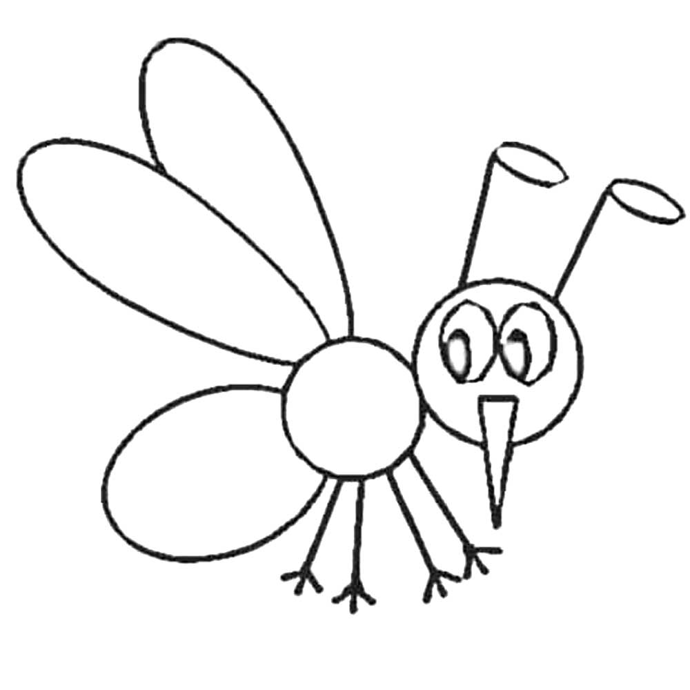 1000x1000 Mosquito Drawing For Kids