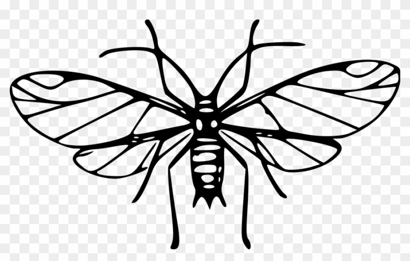 840x536 Cartoon Mosquito Clipart Wikiclipart