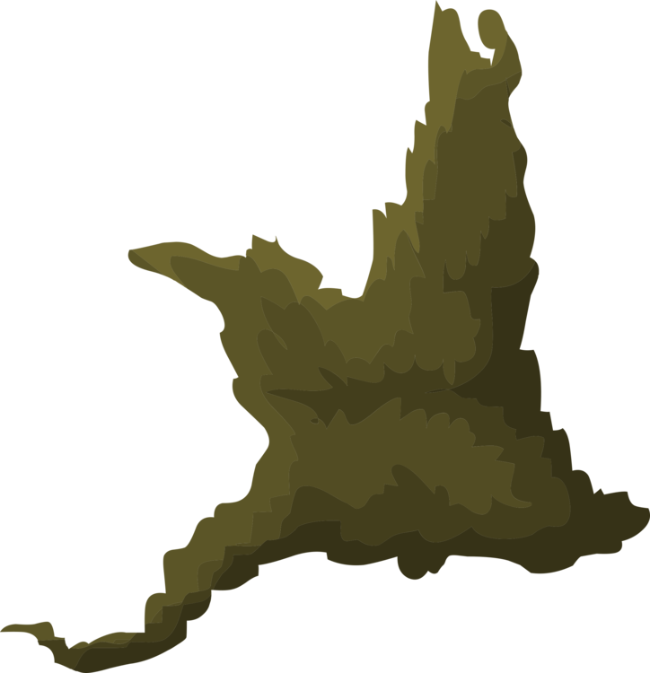 724x750 collection of free moss drawing birch tree download on ui ex