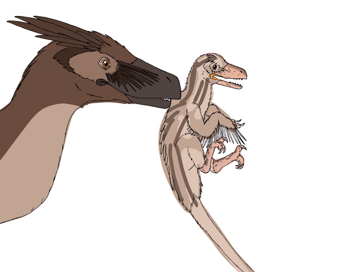 1200x900 hannah moss on twitter working on some more dinos