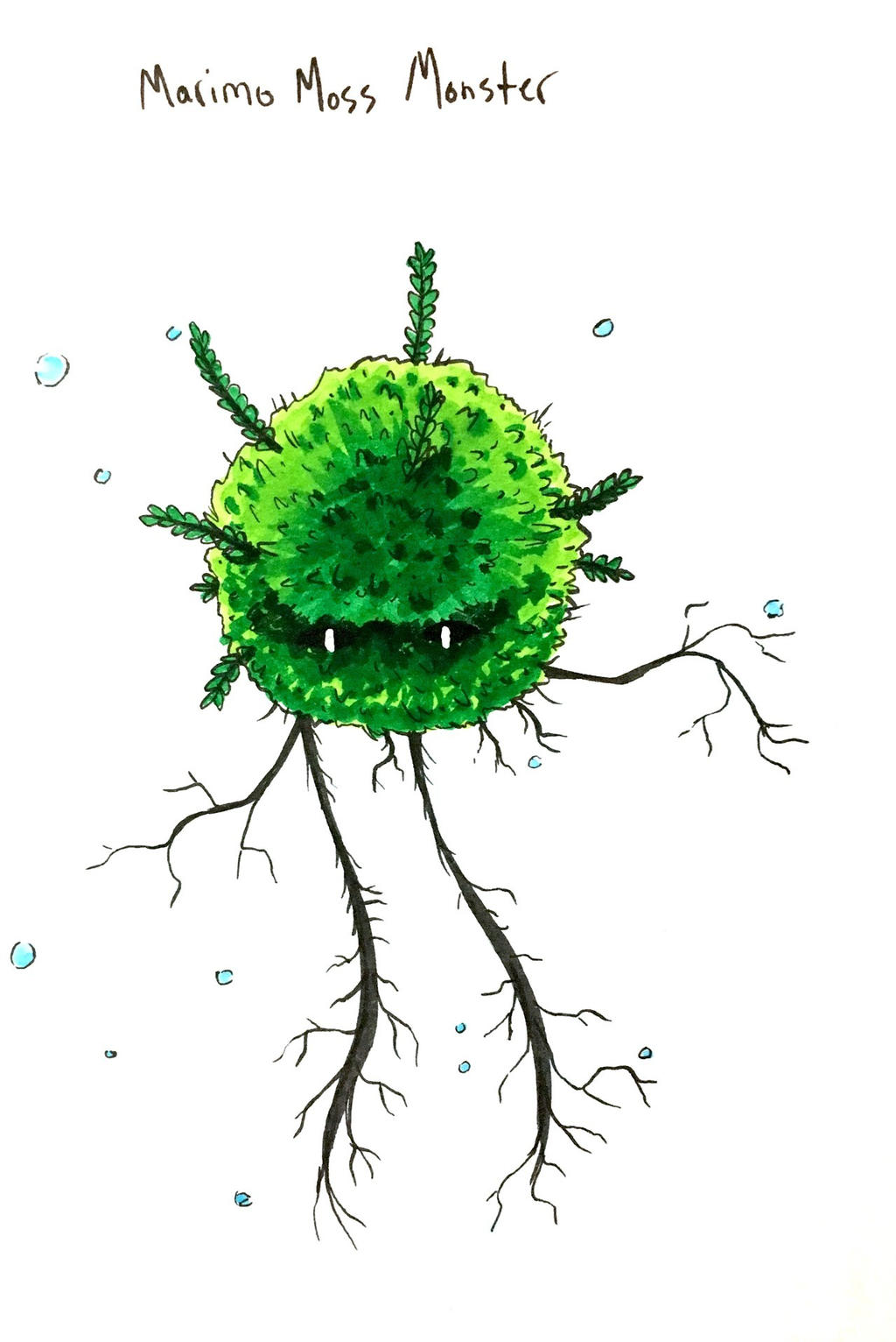 1024x1532 Marimo Moss Monster