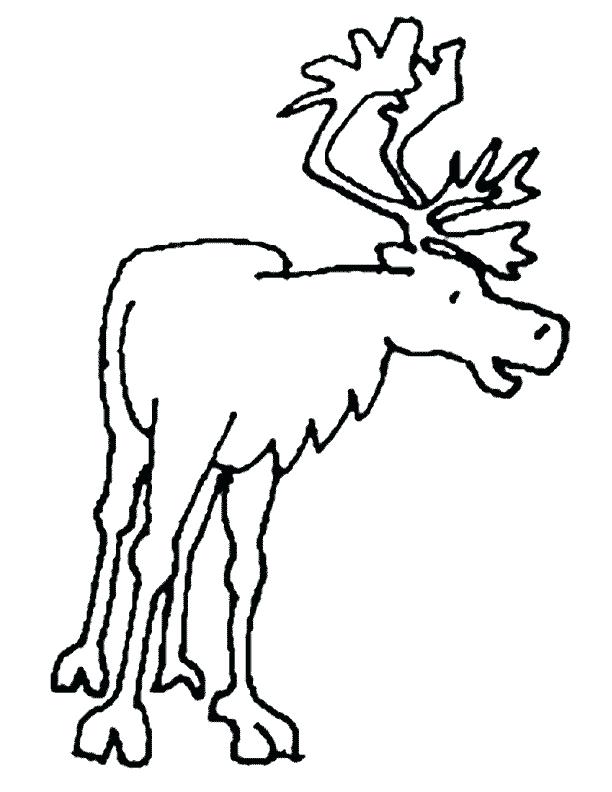 612x792 caribou drawing caribou moss drawing