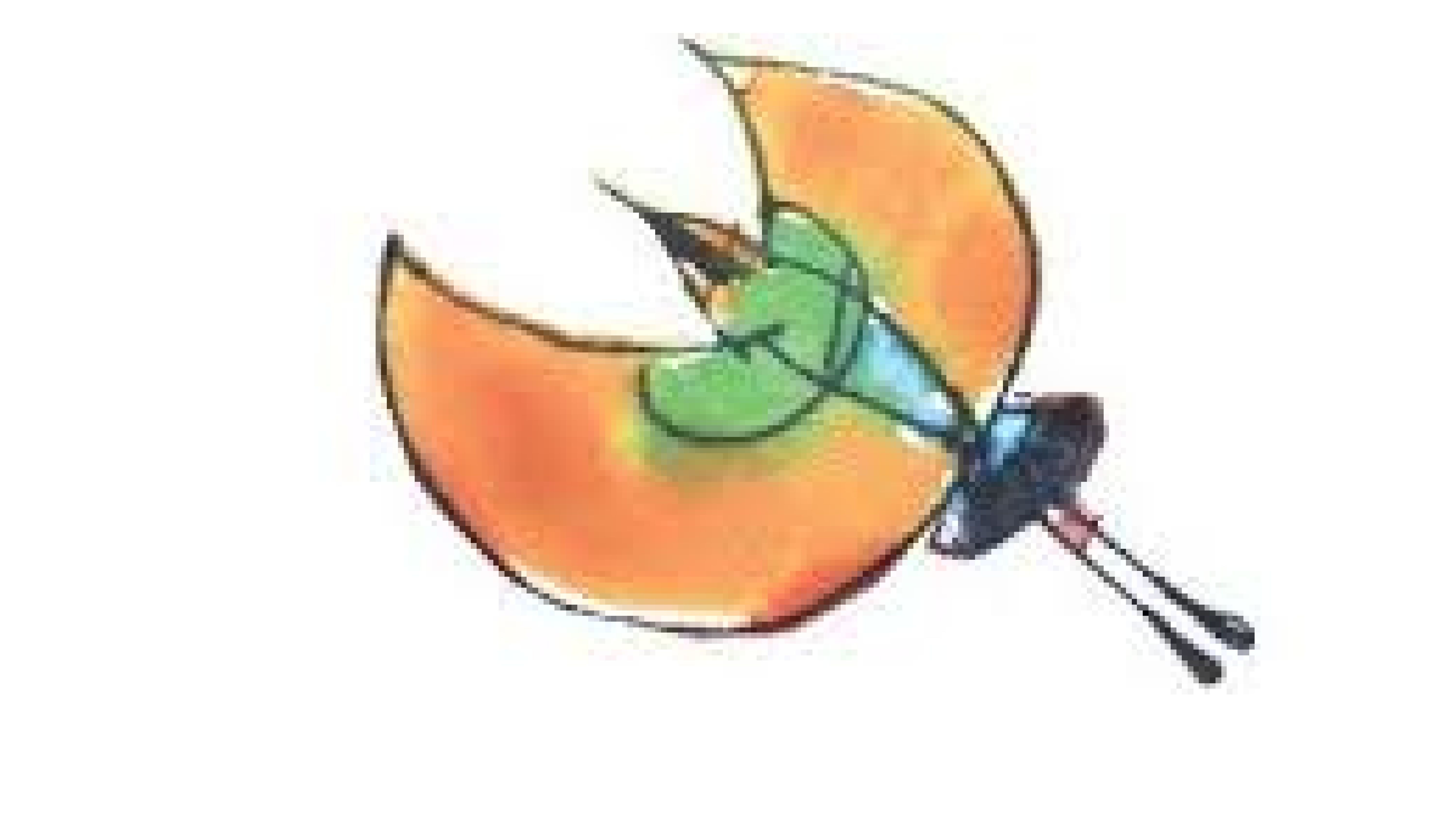 6000x3370 mildura riverview motel nsw holidays accommodation, things