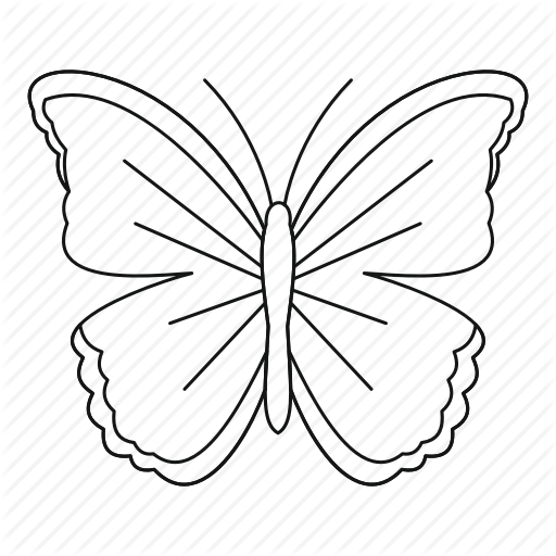 512x512 Collection Of Free Moth Drawing Outline Download On Ui Ex