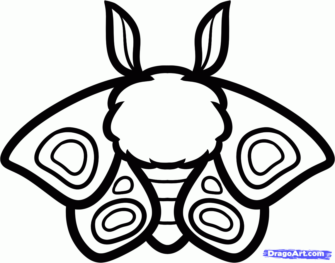 1143x898 How To Draw A Moth For Kids, Step