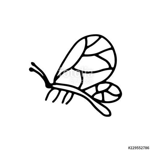 500x500 Butterfly Moth Insect Icon Drawing Isolated Object On White