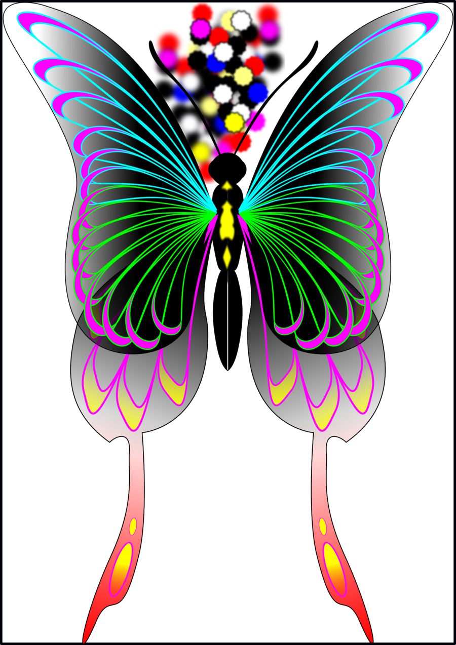 900x1274 Butterfly, Wing, Drawing, Transparent Png Image Clipart Free