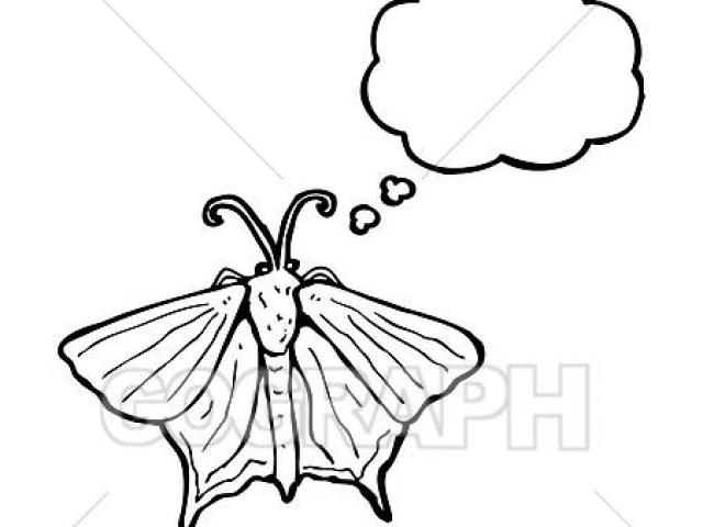 640x480 Free Moth Clipart, Download Free Clip Art