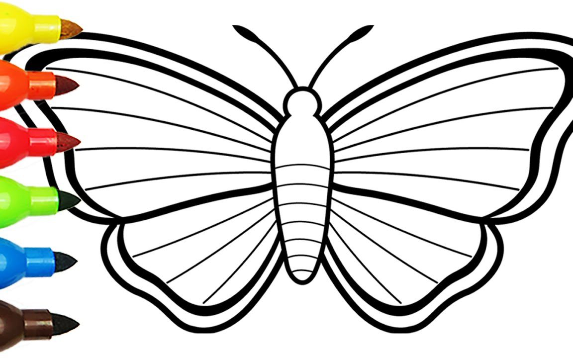 1152x720 Luna Moth Clipart Drawing