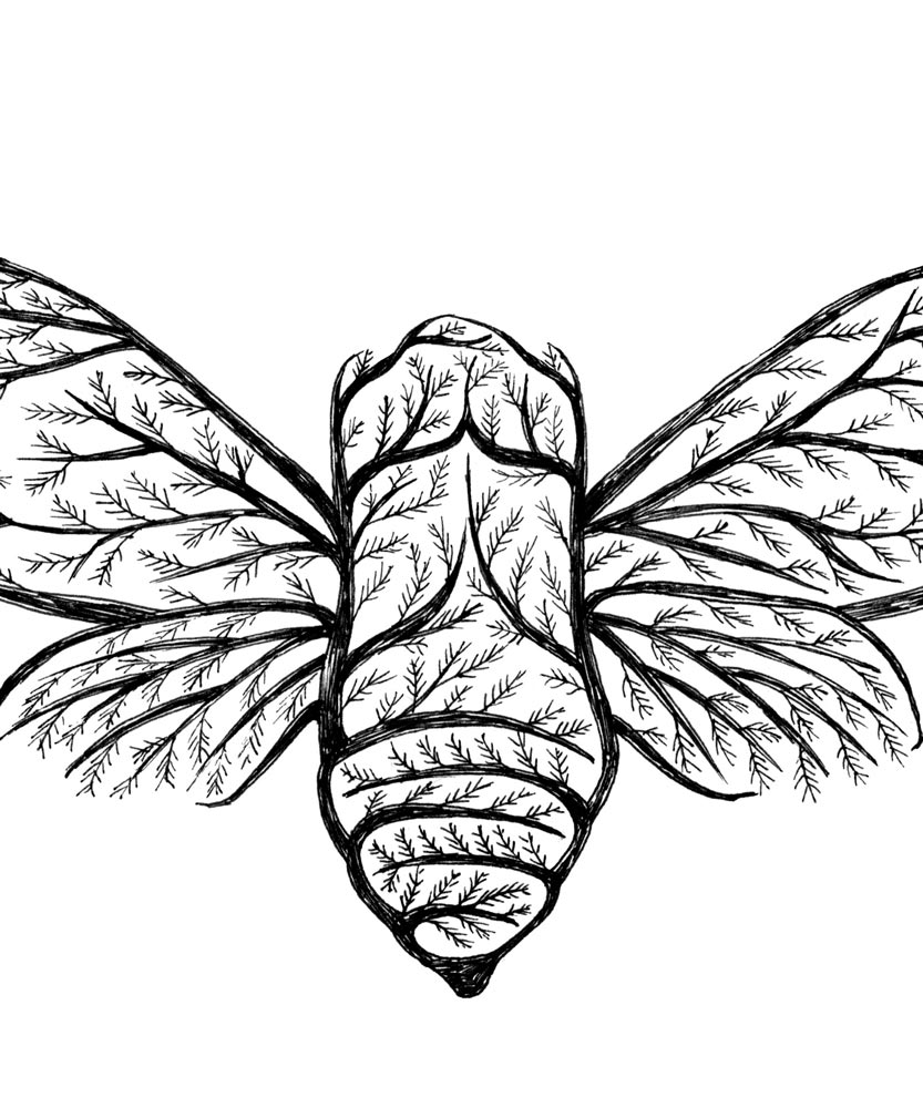 833x1000 Moth Tree Alfredbasha