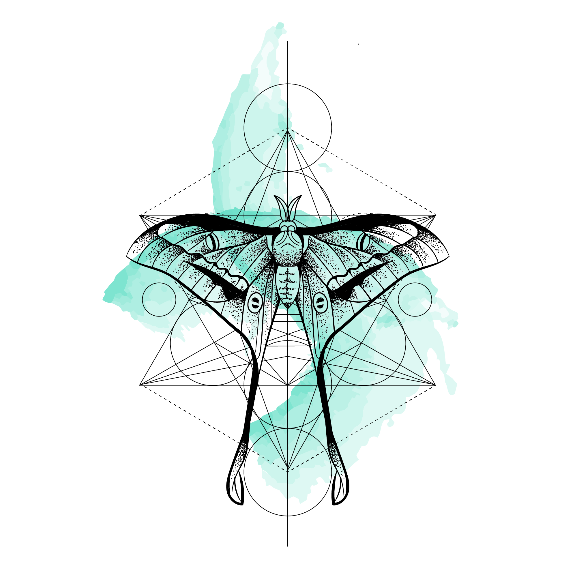 2000x2000 Sacred Moth