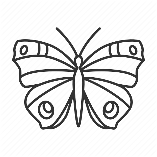 Moth Line Drawing | Free download on ClipArtMag