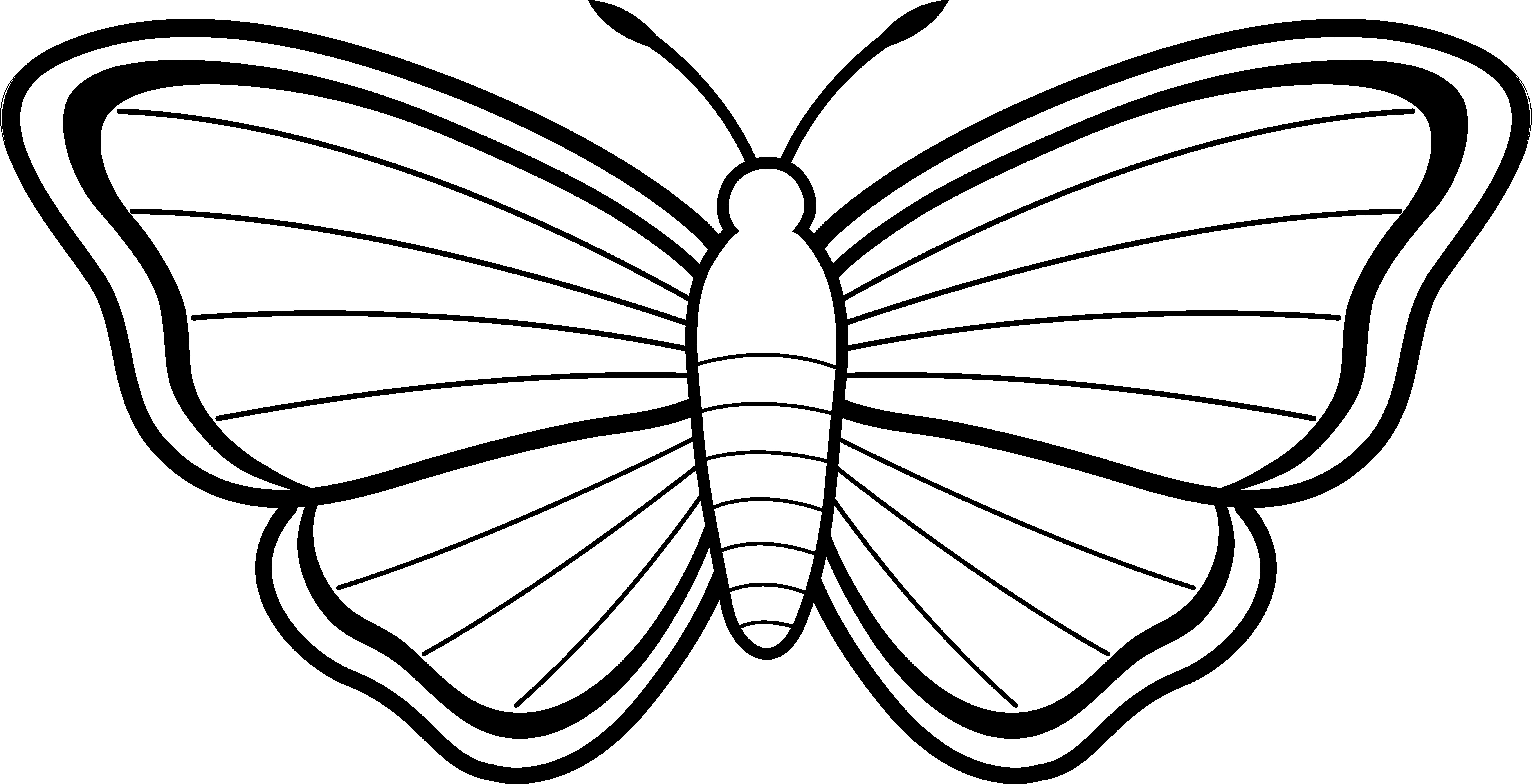 6978x3573 With Clipart Butterflies Outline Science Black And White Moth Line