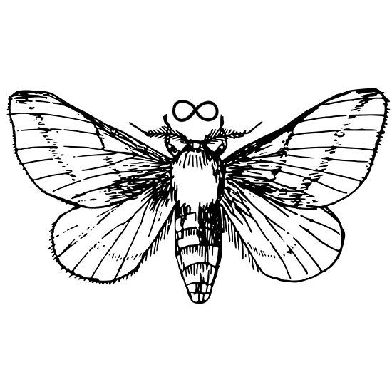 550x550 Moth Posters