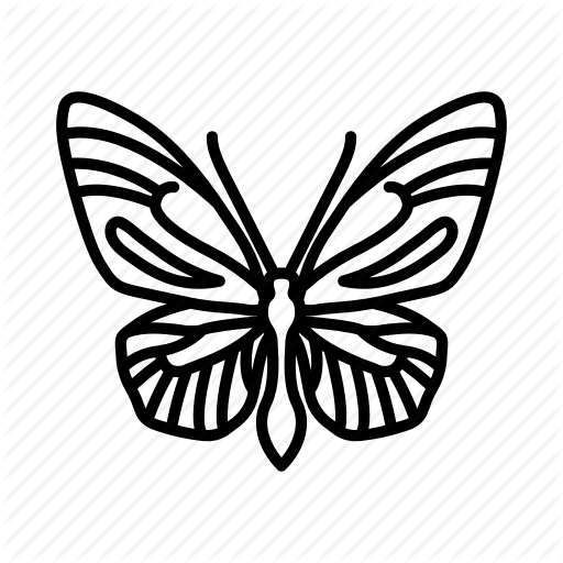 512x512 Butterflies, Fly, Insect, Moth, Nature, Tattoo Icon