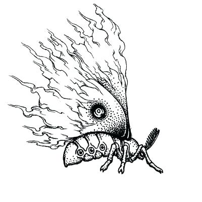 400x400 how to draw a moth moth how to draw mother and child step