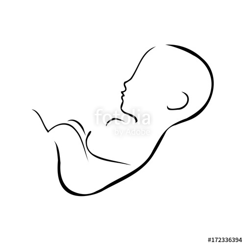 500x500 drawing of fetus inside the womb of mother stock image
