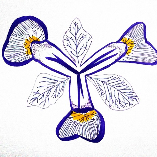 500x500 The Mother Nature Drawing Challenge Doodle Addicts