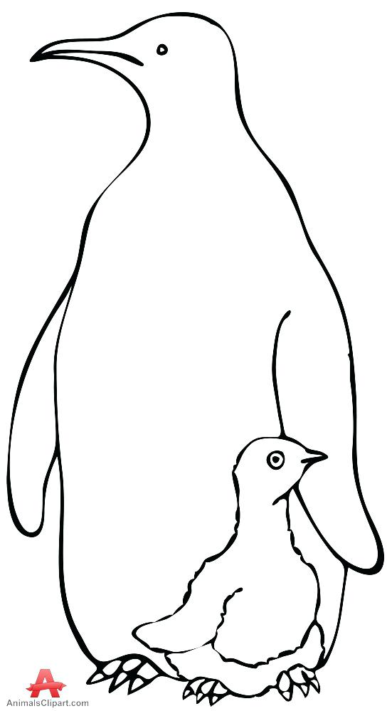 544x999 Baby Outline Penguin Mother And Drawing Dirosa
