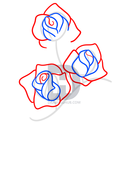 544x720 How To Draw Mothers Day Flowers, Step