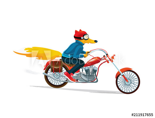 500x381 Fox Man On A Red Motorcycle Hand Drawn Illustration Of Dressed
