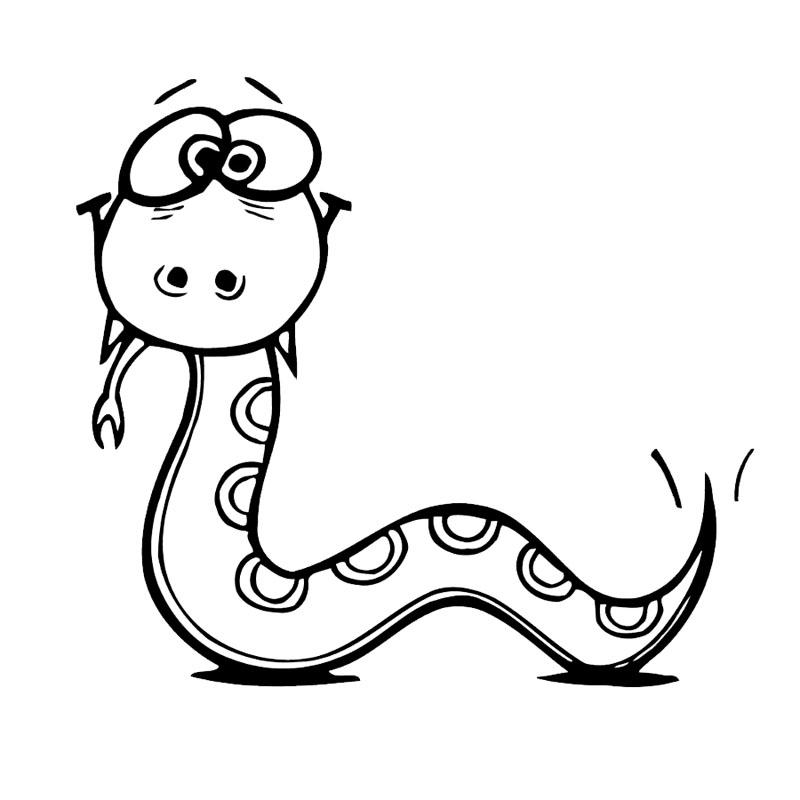 800x800 Cartoon Cute Snake Vinyl Car Stickers And Decal Fashion