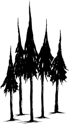 236x422 Best Drawing Pine Trees Images Easy Drawings, Paintings