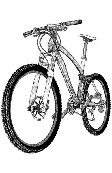 388x600 Mountain Bike Drawing