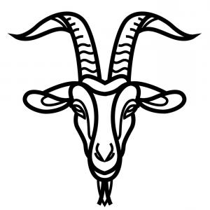 300x300 Photostock Vector Mountain Goat Standing On Rocks And Looking