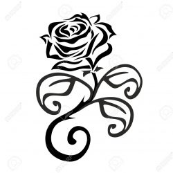 250x250 Black And White Flowers Simple Rose Drawing Free Border Line