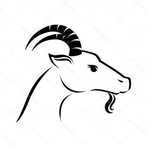 300x300 Cute Sketch Draw Goat Face Vector Lazttweet