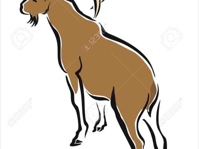640x480 Free Mountain Goat Clipart, Download Free Clip Art