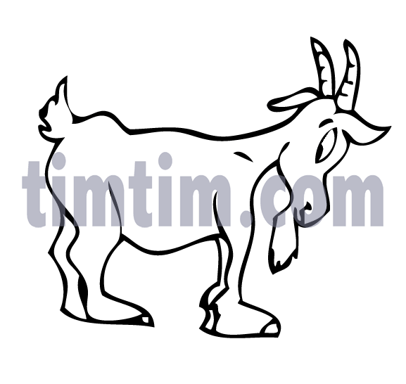 577x546 Free Drawing Of A Billy Goat From The Category Farm Animals