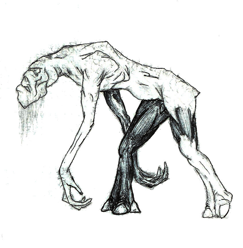 848x865 Goat Head Drawing Easy