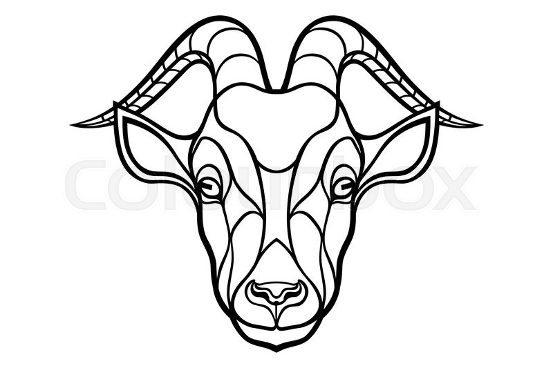 800x533 Goat Head Coloring Silhouette On White Stock Vector Colourbox