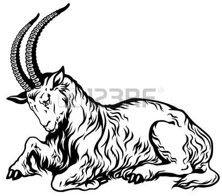 450x397 Horns Goat Clipart, Explore Pictures
