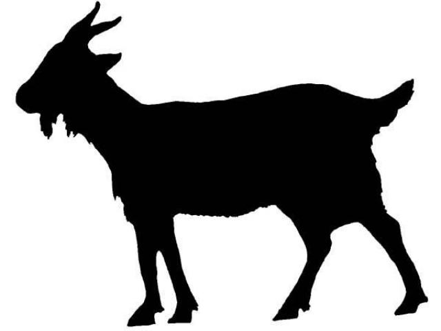640x480 Billy Goat Clipart Free Clip Art Stock Illustrations