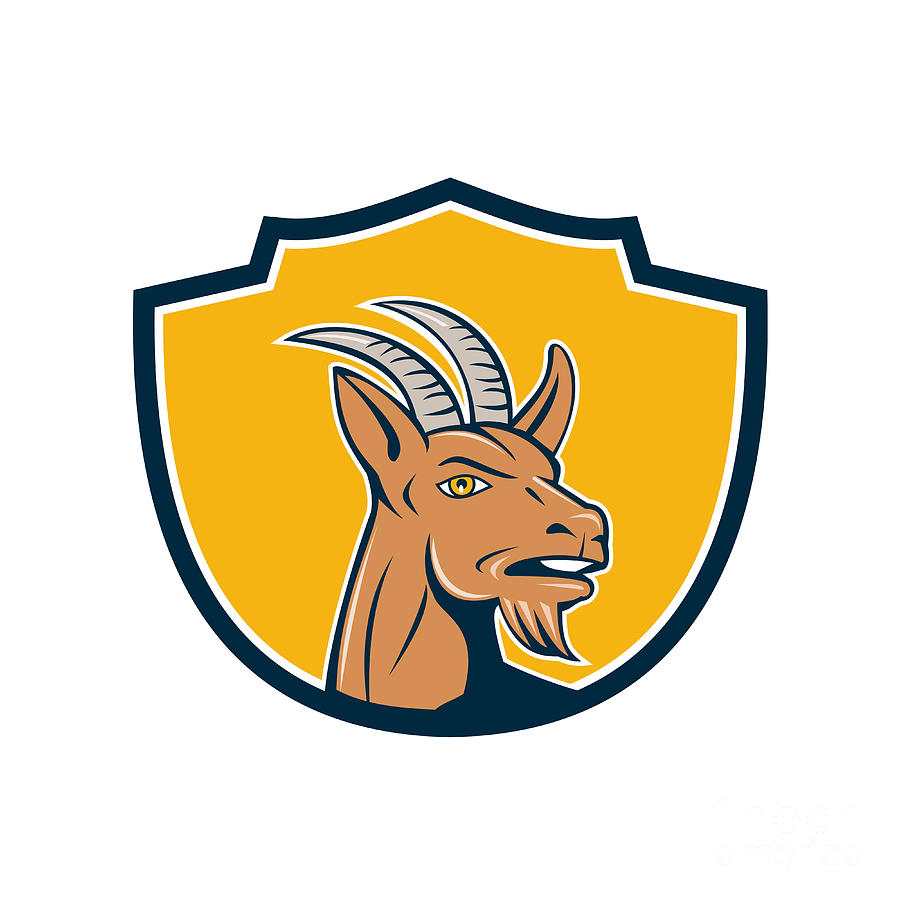 900x900 Mountain Goat Head Shield Cartoon Digital Art