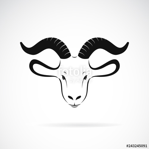 500x500 Vector Of Goat Head Design On A White Background, Animal Farm