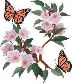 236x270 best mountain laurel tattoo images laurel tattoo, floral