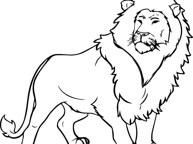 640x480 Mountain Lion Colouring Pages Coloring Pictures