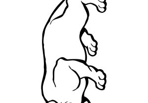 300x210 Mountain Lion Drawing Easy