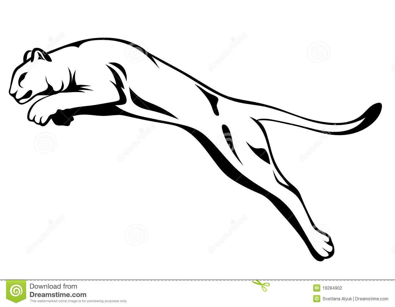 1300x1009 Mountain Lion Black And White Illustration Panther Attacking