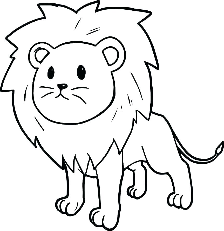 863x888 lion coloring picture mountain lion coloring pages pictures