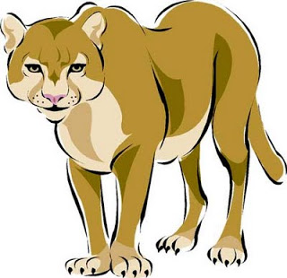 320x310 New Hampshire Adventures Mountain Lion Facts