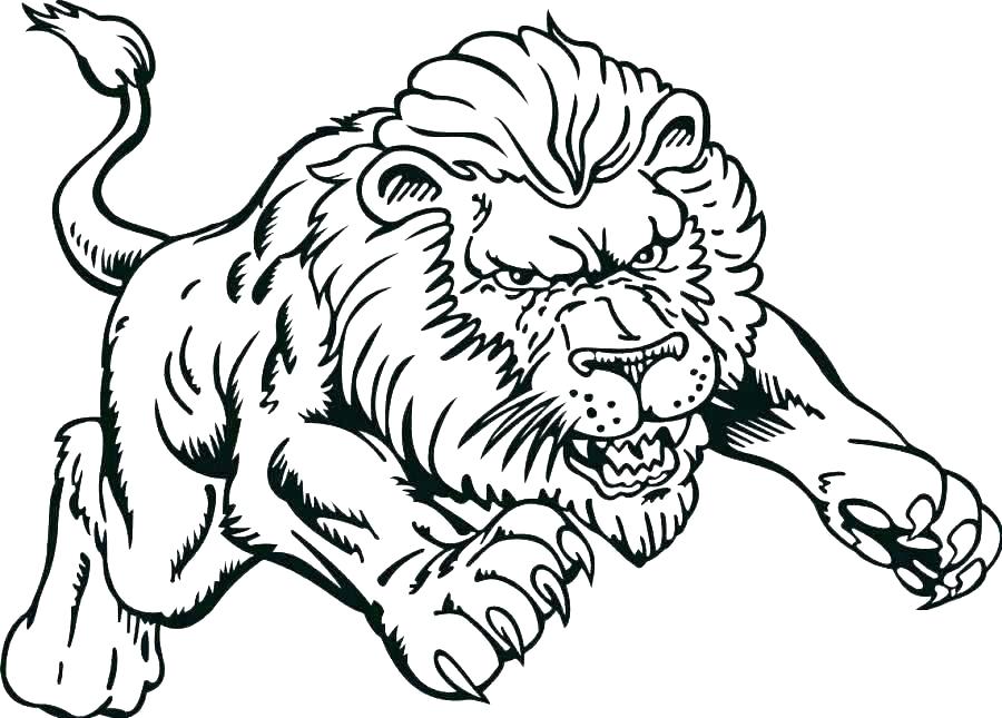 900x645 Special Offer Lion Coloring Pages Mountain